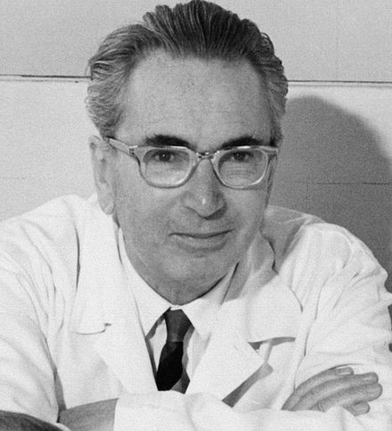 Top 32 Best Quotes From Man’s Search for Meaning by Viktor Frankl