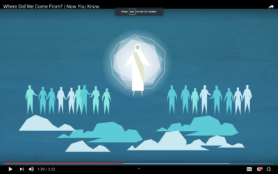Where Did We Come From? Pre-Mortal Life