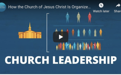 How the Church of Jesus Christ of Latter-day Saints Is Organized