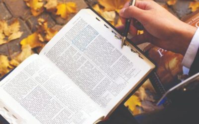 Impact of Coronavirus on Latter-day Saint Missionaries and Members – Latest News