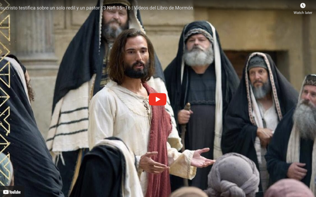 Videos del Libro de Mormón: Jesucristo testifica sobre un solo redil y un pastor, 3 Nefi 15–16