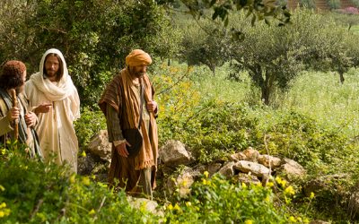Following Jesus Christ’s Steps With the Augmented Reality Study Tool for the New Testament