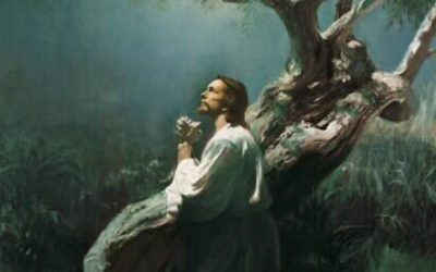Che Cosa Credono i Mormoni Riguardo Alla Divinità? (Video)