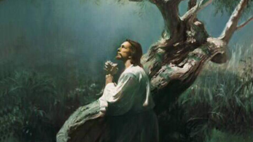 Che Cosa Credono i Mormoni Riguardo Alla Divinità? (Video)
